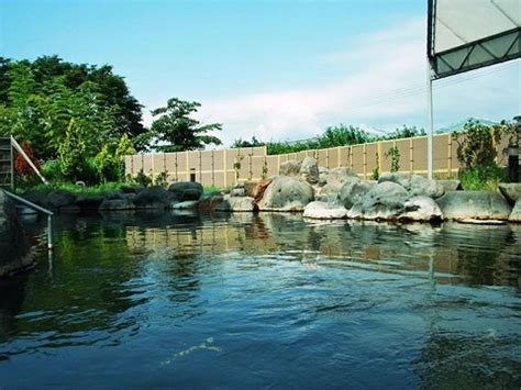 ハッテン山形|【ハッテン場・サウナ】天童最上川温泉 ゆぴあ